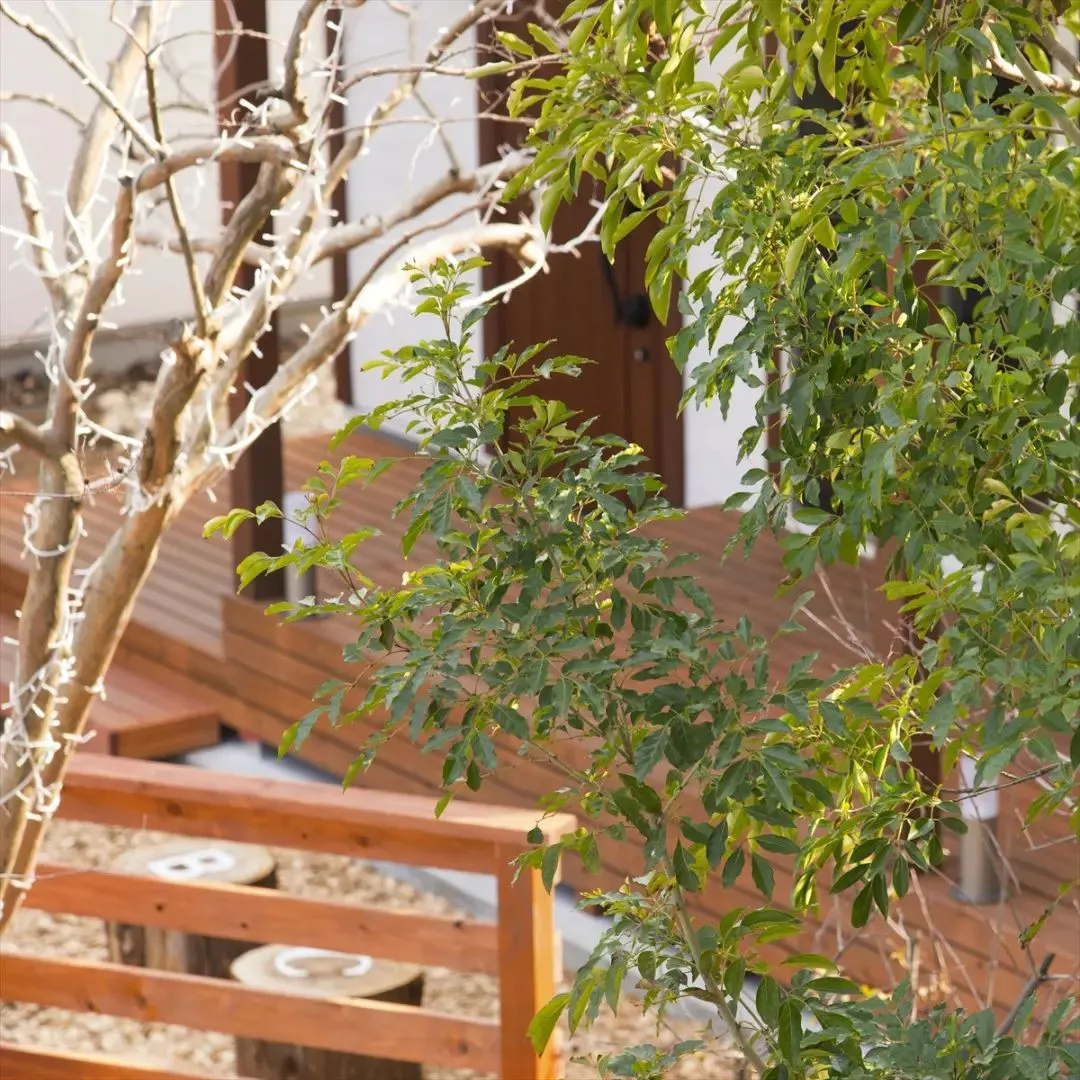 🌳木の香りに癒されてー森林浴効果抜群の家で暮らすー🌳