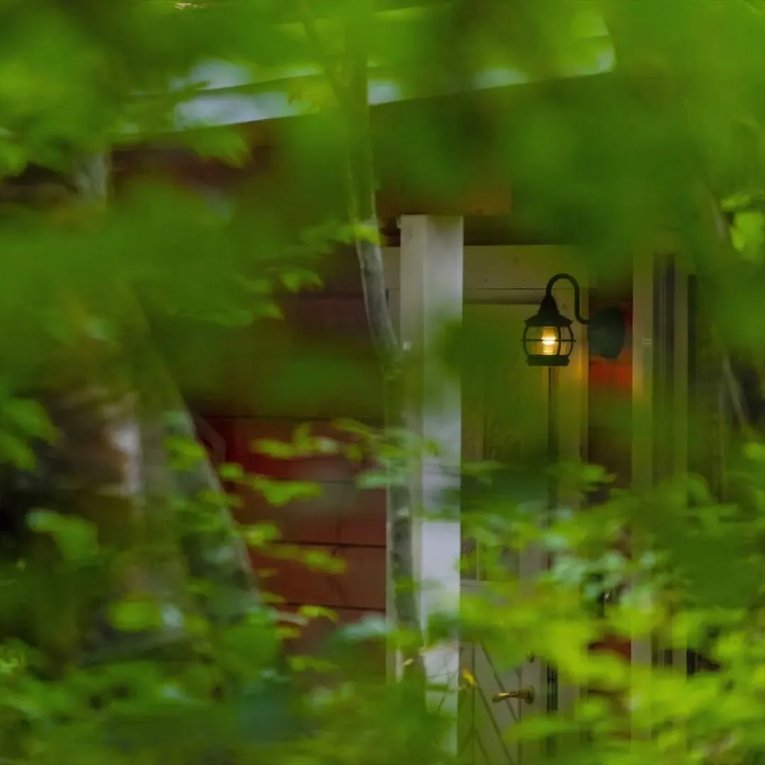 🌳森林浴効果で癒される家ー木の香りに癒されて🌳